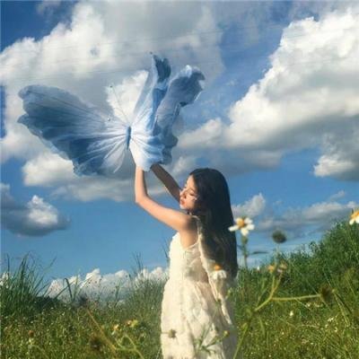 蔷薇风暴
